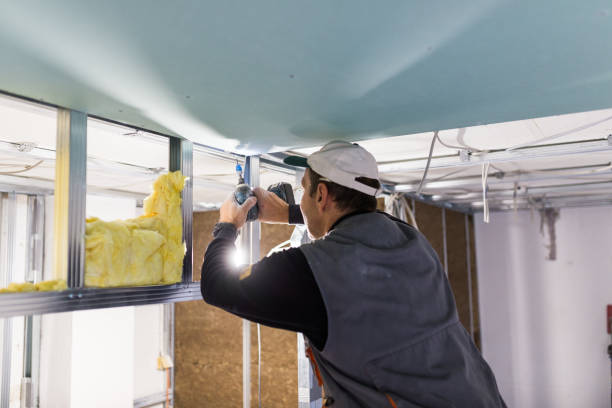 Best Eco-Friendly Insulation in Fort Polk North, LA